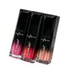 SCANLON Ombre Gradient Velvet Lip Gloss